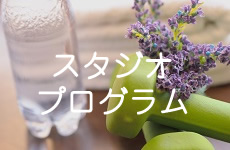 スタジオプログラム